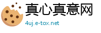 真心真意网